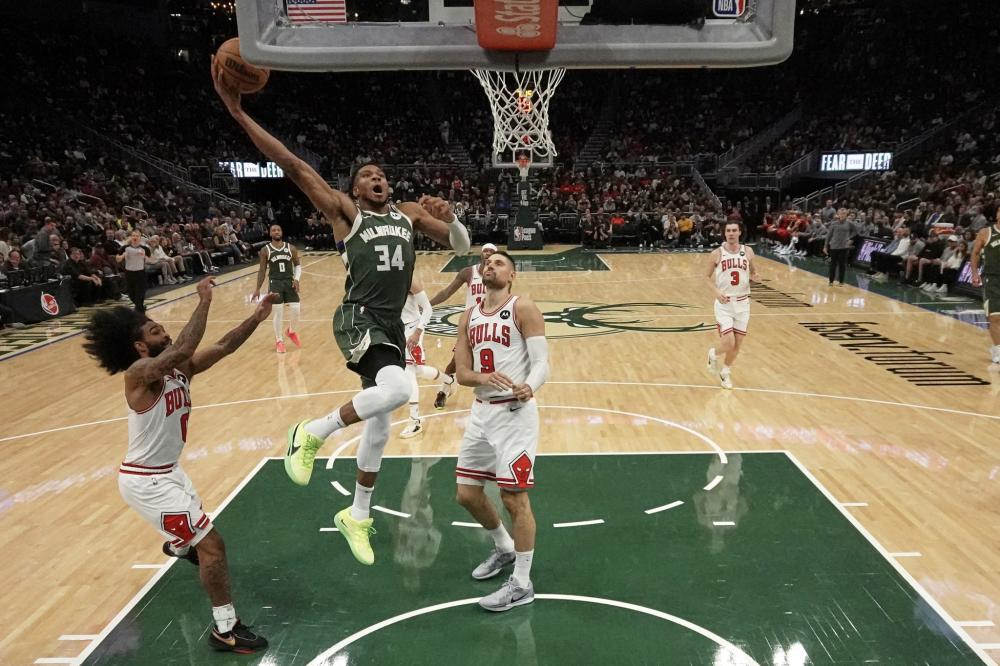 小皮蓬集锦 小皮蓬集锦