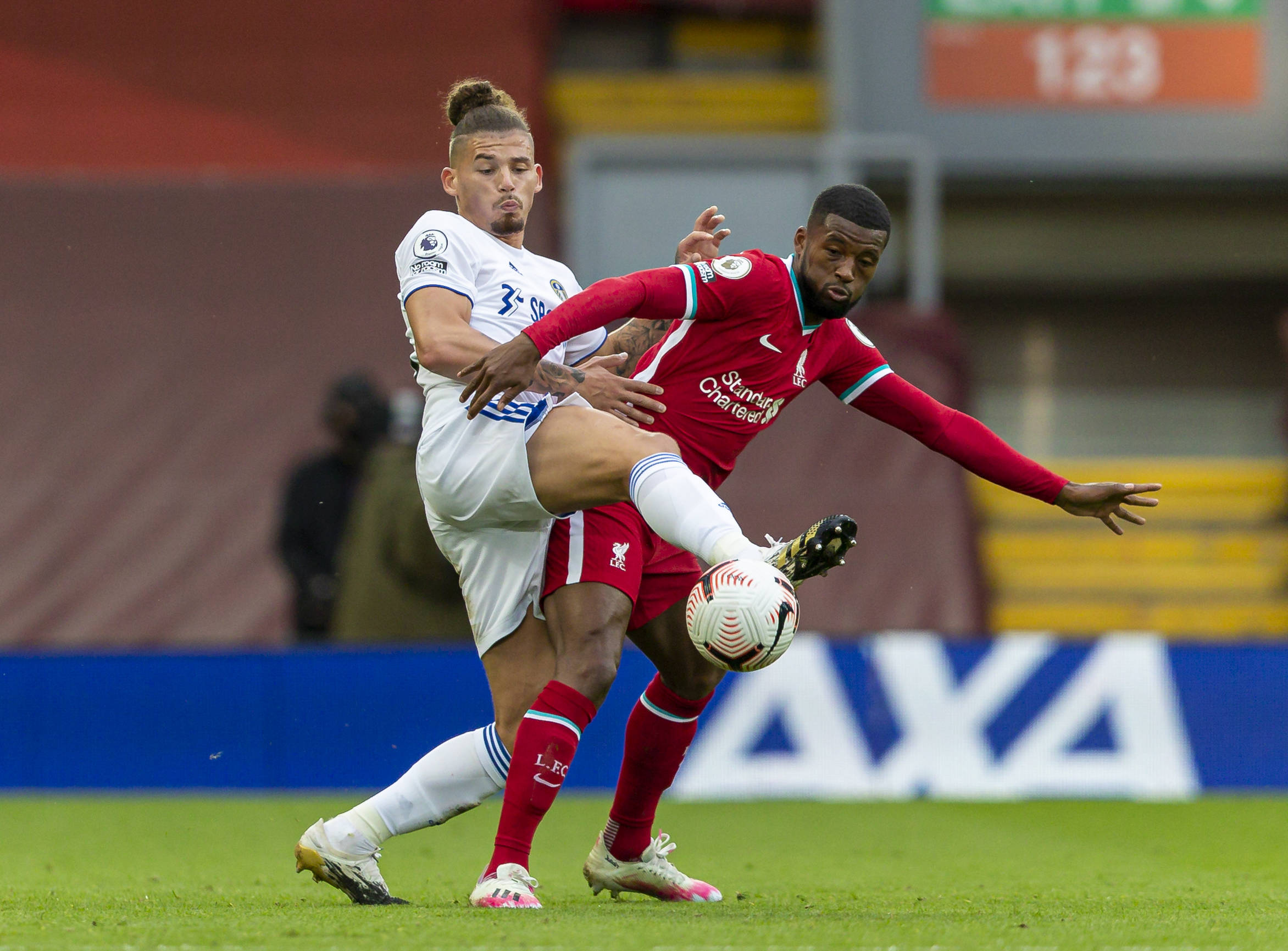 慧的集中体 慧的集中体